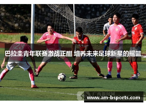 巴拉圭青年联赛激战正酣 培养未来足球新星的摇篮