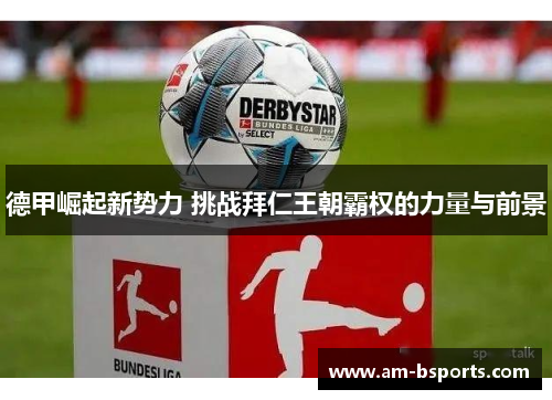 德甲崛起新势力 挑战拜仁王朝霸权的力量与前景 德甲崛起新势力 挑战拜仁王朝霸权的力量与前景