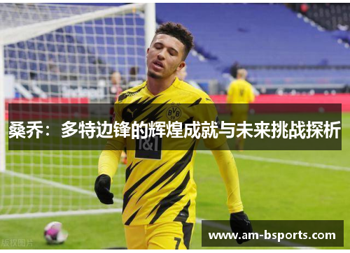 桑乔：多特边锋的辉煌成就与未来挑战探析