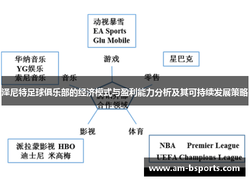 泽尼特足球俱乐部的经济模式与盈利能力分析及其可持续发展策略