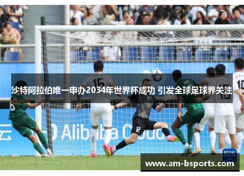 沙特阿拉伯唯一申办2034年世界杯成功 引发全球足球界关注