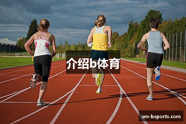 介绍b体育